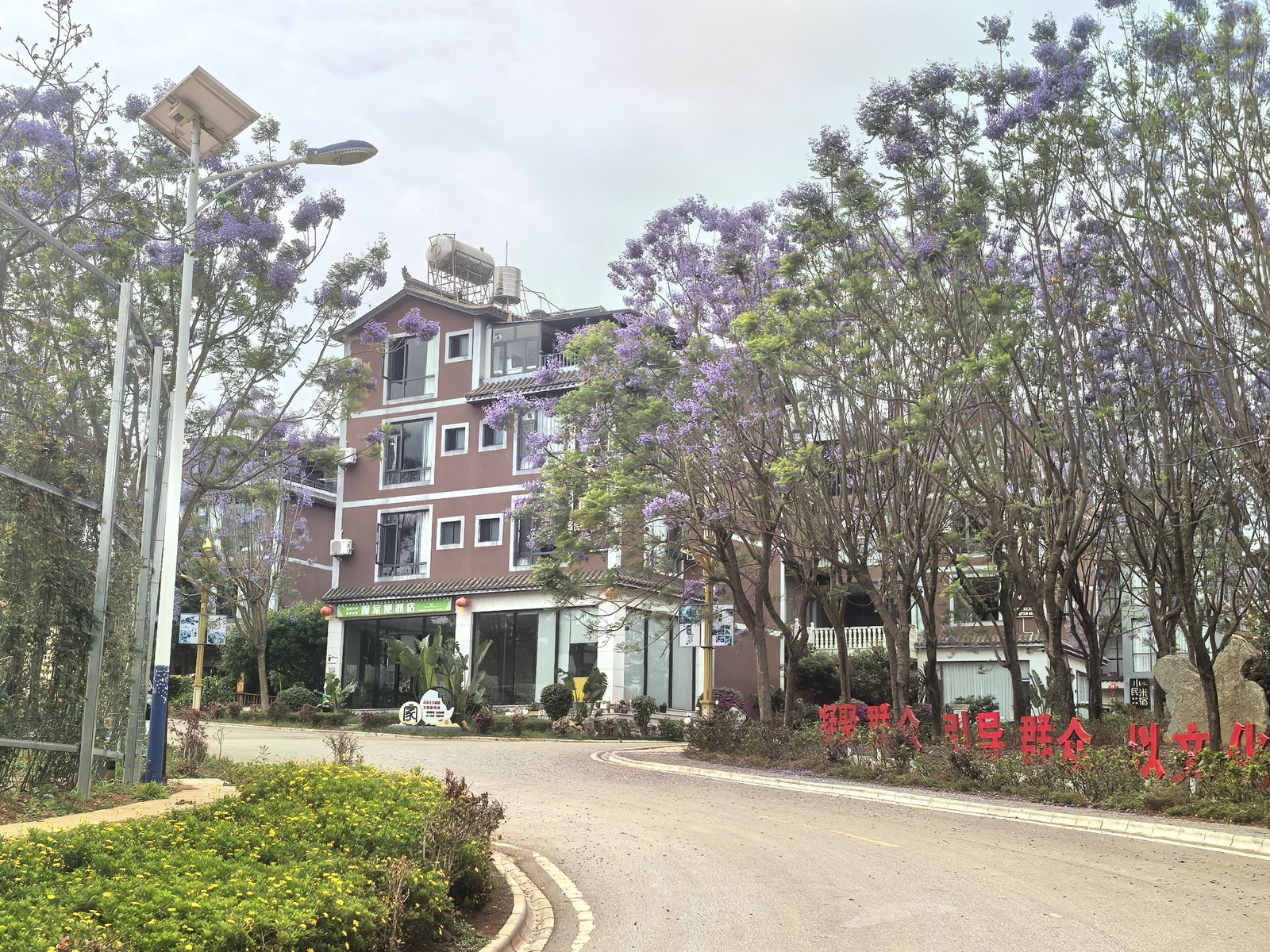 臻善食养建筑全景