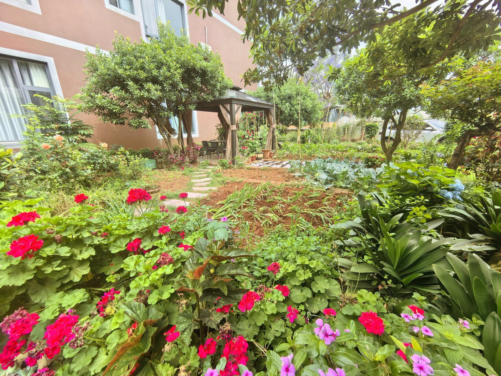 弥勒臻善食养庭院花园