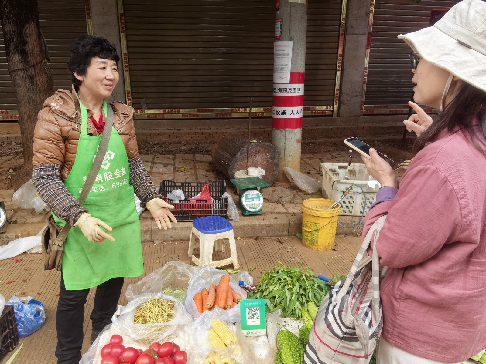 臻善食养生态厨房备餐