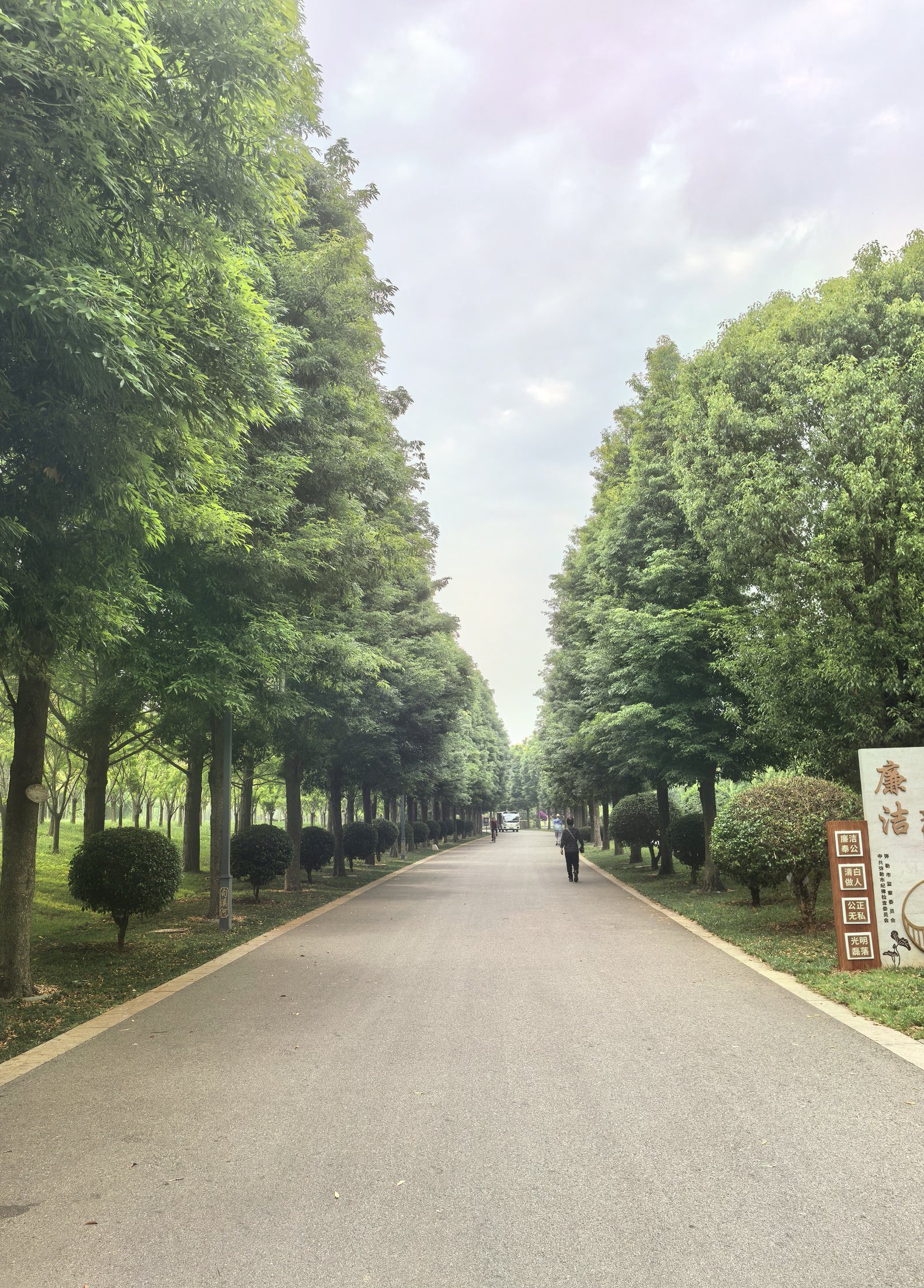臻善食养树荫道路